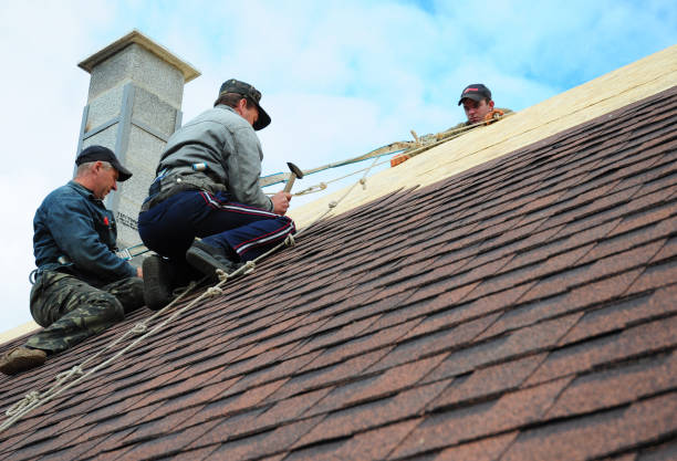 Quick and Trustworthy Emergency Roof Repair Services in South Bradenton, FL